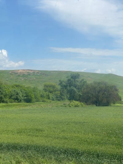 The image shows a landscape near Moskovskoe, Russia. A field of green grass occupies the foreground and right side of the image. A line of trees separates the field from a hillside in the background. The hillside appears grassy, with some patches of exposed earth. The sky is blue with scattered white clouds, taking up the left side of the frame.