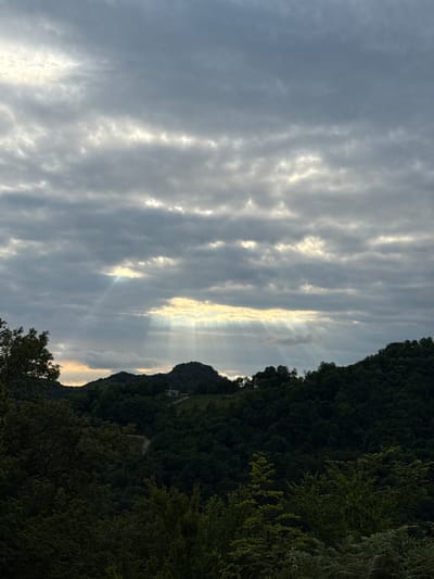 The image shows a dramatic sky with sunbeams breaking through clouds, illuminating the landscape below. The sunbeams are casting a diffused light onto a wooded hillside. In the distance, a small building with a light-colored roof is visible on top of a hill. The foreground is filled with dark green trees and foliage. The overall scene suggests a serene, natural environment, possibly in the city of Adzhakhy, Abkhazia, given the prompt's context, with the focus being on the interplay of light and shadow within a forested mountainous area. There are no people or animals visible in the frame.
