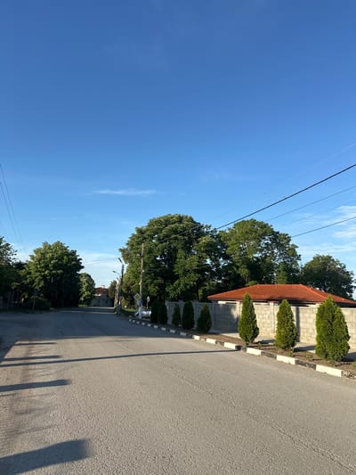 A street view in Pliska, Bulgaria, features a building with a red tiled roof and concrete block walls trimmed with rows of pruned, conical shrubs. The building abuts a gray asphalt road marked with black and white painted curbing. Shadows stretch across the road. Power lines traverse the upper portion of the sky. Trees line the street.
