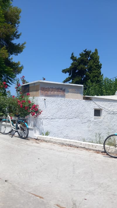 In a coastal setting under a clear blue sky, a white building with a textured facade stands alongside a paved road. A vibrant bush with red flowers is situated in front of the building, with a bicycle parked beside it. The building features a mural or sign with the words "THEODOROU BEACH" visible. Another bicycle's wheel is partially visible on the right side of the image. The environment suggests a sunny day in a tranquil, possibly tourist-oriented, location in Greece.