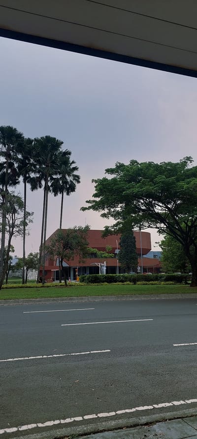 This media file shows an exterior view of a street in Pagedangan, Indonesia. The image is oriented vertically, suggesting it might have been taken with a phone camera.
The scene is dominated by a road with white lane markings on the right side. Adjacent to the road is a neatly trimmed green lawn, followed by a row of trees and buildings. The buildings appear to be modern, with some showing reddish-brown facades. One building has multiple stories and large windows.
In the foreground, several tall palm trees are visible, their fronds fanned out against a pale, overcast sky. A large tree with dense green foliage partially obscures the view of the sky and buildings in the upper portion of the image. The left side of the image shows a dark, slatted structure, possibly part of a building or architectural element.
The time of day appears to be either early morning or late afternoon, given the soft, diffused light and the overcast sky. There are no people or vehicles visible in the image, suggesting a quiet, possibly off-peak time. The overall impression is one of an urban or suburban environment with a blend of modern architecture and tropical vegetation. No visible text is discernible in the image.