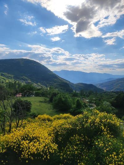 A picturesque landscape unfolds under a partly cloudy sky, with sunlight filtering through the clouds and casting rays onto the scene. In the foreground, a dense thicket of vibrant yellow wildflowers dominates the lower portion of the image. Behind the flowers, a lush green meadow is visible, dotted with trees and a small red-roofed building peeking through the foliage. The middle ground features rolling green hills covered in trees, with a meandering road visible in the distance. The background reveals a series of majestic, layered mountains fading into a hazy blue. The overall impression is one of natural beauty and tranquility in a rural setting, likely within the Egnatia Municipal Unit of Greece, characterized by its hilly terrain and expansive skies. There are no people or animals visible in the image.