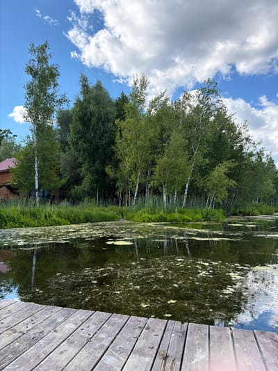 The image shows a wooden dock extending into a body of water. The water is dark and appears to be covered in a light green algae or aquatic plant growth. In the background, a dense line of trees, including birch trees with white bark, forms a backdrop. A wooden building with a red roof is visible behind the trees on the left side of the frame. The sky above is blue with scattered white clouds. The scene depicts a natural outdoor environment.