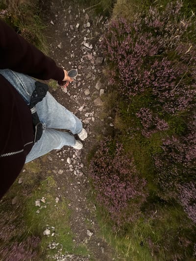 An overhead perspective shot of a person's legs and torso, wearing a dark brown zip-up sweater, light wash denim jeans, and white sneakers. The person is holding a pair of light-colored sunglasses in their right hand. They are standing on a dirt path with scattered rocks and dry grass. To the right of the path, there are patches of vibrant purple heather and green foliage. The scene appears to be in a natural, outdoor environment, potentially a park or hiking trail, and is consistent with the landscape found in areas like Penicuik, United Kingdom.