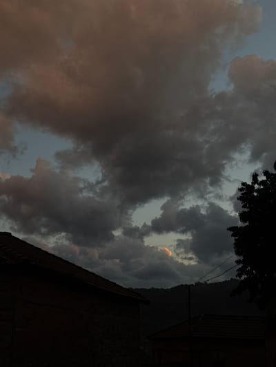 The image depicts a dark, cloudy sky above the urban environment of Zhaltusha, Bulgaria. The horizon line includes a dark building silhouette to the right and dark tree branches along the top edge. Most of the frame is filled with heavy, dark clouds. There is a small patch of light breaking through the clouds, creating a focal point within the gray expanse.