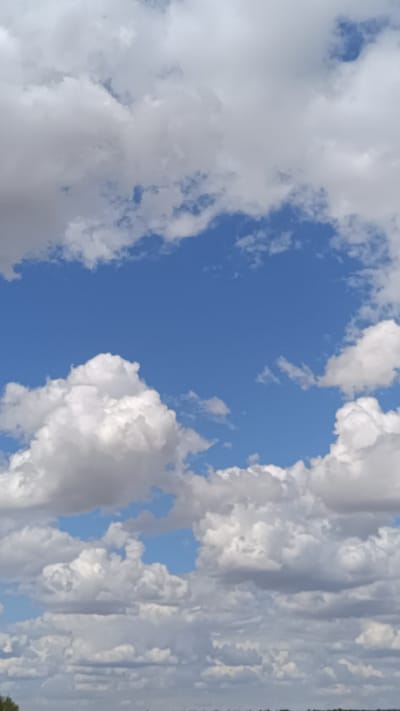 The image is an outdoor, vertical, full-frame photograph taken from a low angle, focusing on a bright blue sky filled with numerous white and gray cumulus clouds. The clouds are dense and varied in size and shape, with some appearing fluffy and sunlit, while others are darker and more shadowed, suggesting depth and potential for changing weather. The lower edge of the frame shows a hint of a flat, green landscape, possibly fields or low vegetation, with a faint, darker line that could be distant trees or the horizon. The photograph appears to be taken on a clear day, possibly in the rural outskirts or a natural setting within or near Martynivs'ke, Ukraine, given the open sky and the absence of urban structures. There are no people or specific objects clearly visible in the frame, making the primary subject the dynamic cloud formations against the expansive blue sky.