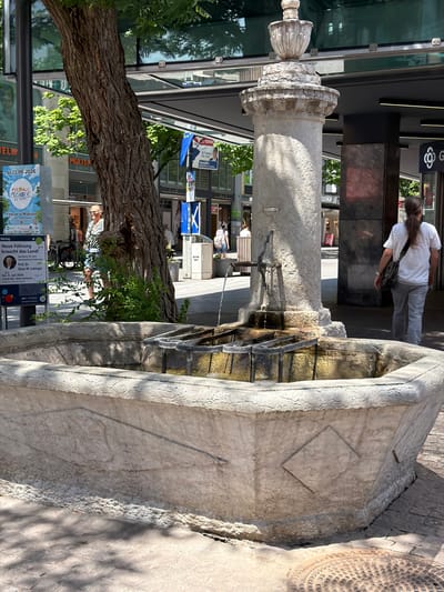 This media file captures a daytime scene in Lörrach, Germany, featuring a stone fountain in the foreground. A person with long, light brown hair, wearing a white t-shirt and grey pants, walks away from the camera, carrying a crossbody bag. Behind them, the facade of a building with large glass windows and vertical black accents is visible. Street signs and posters are present on the building and nearby poles, including a blue flag with a European Union symbol and posters with German text like "Fête de la Musique" and "Neue Führung braucht das Land!". A large tree trunk with rough bark is also a prominent element in the composition, with green foliage adding a touch of nature to the urban setting. The stone fountain appears weathered and textured, with water gently flowing from metal spouts. The lighting suggests it is a sunny day, casting shadows on the ground and the fountain's surface. The overall impression is one of a public space in a town or city, with elements of culture and nature coexisting.