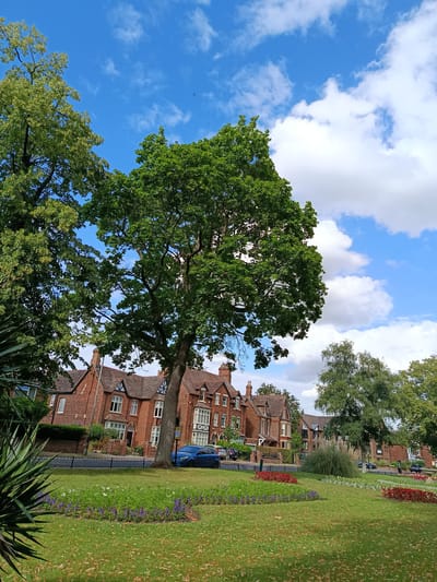 The image depicts a serene daytime scene in Bedford, United Kingdom. The setting is a residential area with well-maintained properties. In the foreground, a manicured lawn is adorned with colorful flowerbeds, featuring red and purple blooms, interspersed with white flowers. Beyond the lawn, a black metal fence separates the green space from a pavement and a road.
Several mature trees with lush green foliage dominate the mid-ground and frame the scene. A striking, large tree stands prominently in the center, its branches reaching towards the sky. Behind the trees, a row of traditional brick houses with pitched roofs and visible windows lines the street. One of the houses features distinctive architectural details, including bay windows and decorative trim. A blue car is parked on the street in front of the houses.
The background is a vibrant blue sky dotted with fluffy white clouds, suggesting fair weather. The overall impression is one of tranquility and a pleasant, perhaps summer, day. No people are visible in the image, and no text is apparent. The location is identified as Bedford, United Kingdom.