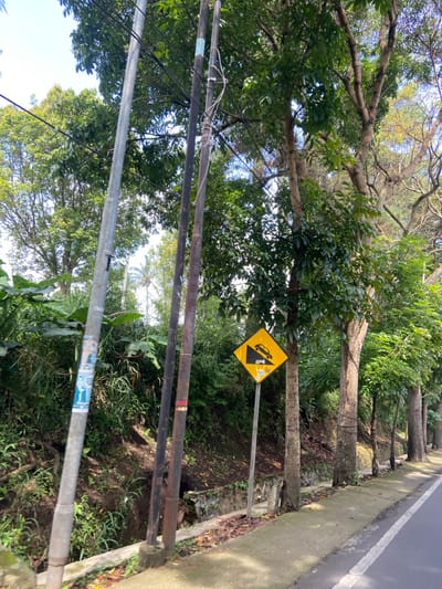 The image shows a street in Kecamatan Cisarua, Indonesia, at latitude -6.84 and longitude 107.552. There is a yellow warning sign, with a black silhouette of a car going downhill, attached to a metal post on the right side of the road. The sign is attached to a post that is partially visible. The sign is positioned on the edge of a curb, and the sign is the only one that can be fully seen in the image. To the left of the sign are two wooden poles, one is partially visible. There is a gutter and grass along the edge of the road. The road is paved with asphalt and has a white line separating the lanes. To the left of the gutter are some trees and brush. The foreground is dominated by a few trees with green leaves and a brown trunk. The rest of the image is a mostly clear, blue sky.