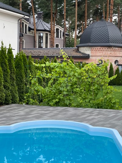 This image shows a swimming pool in the foreground, with a paved patio area behind it. In the background, there are several buildings and a line of tall evergreen trees. The buildings appear to be modern houses with distinctive architectural features, including a domed structure with a brick base and a white house with a dark roof. A vine-covered trellis separates the patio from the lawn and the buildings. The scene is set amidst a wooded area, suggesting a suburban or rural location. The time of day appears to be daytime, with diffused light indicating overcast conditions or late afternoon. The image is taken from a low angle, looking slightly upward towards the buildings and trees. The location is specified as Briukhovychi, Ukraine.