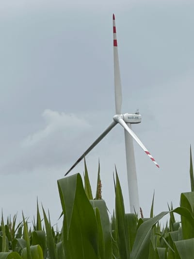 The image depicts a wind turbine standing in a field of green corn stalks under a cloudy sky. The wind turbine is tall and white, with red and white stripes on its blades and the top section of the tower. The word "SUZLON" is visible on the nacelle of the turbine. A small bird is perched on the nacelle. The foreground is filled with lush green corn leaves, some of which are in sharp focus while others are blurred. The overall environment suggests an agricultural landscape. The image was captured in Kolubaivtsi, Ukraine.
