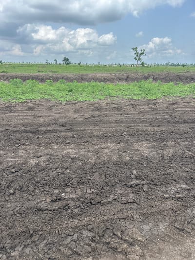 This media file depicts an outdoor scene in Garin Dogo, Nigeria. The primary subjects are a vast, tilled field and a sky filled with white, puffy clouds against a blue backdrop. The field is divided into two distinct sections. On the left, there is a strip of vibrant green vegetation, appearing to be crops or lush grass, stretching horizontally across the frame. To the right of this green strip is a large expanse of dark, dry soil that has been recently plowed. The soil is characterized by deep cracks, indicating arid conditions or a lack of recent rainfall. In the distance, along the horizon line separating the field from the sky, several scattered trees are visible.

The image captures a moment in time likely during the daytime, given the brightness and the presence of clear sky and clouds. The weather appears to be warm and possibly dry, suggested by the cracked earth. The overall mood is one of agricultural activity and the natural landscape. No people or specific objects are distinctly identifiable, apart from the natural elements of the field, trees, and sky. There is no visible text in the image. The perspective is from ground level, looking across the field and up towards the sky, with the composition oriented vertically.