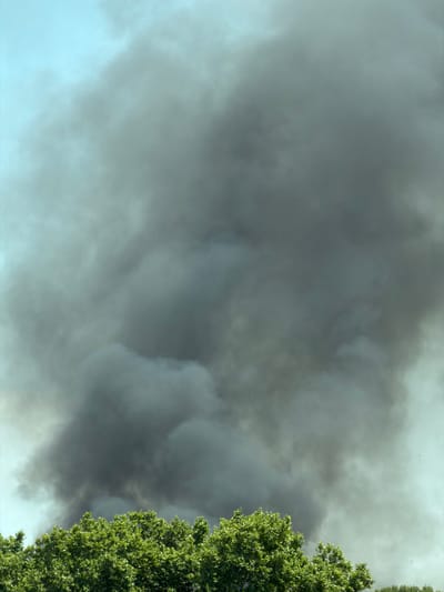 This is a medium-shot, eye-level photograph of dark gray smoke billowing across a pale blue sky. On the right side of the frame, a dense, green tree occupies the entire right edge, its leaves vibrant and full. The smoke appears to be originating from something off-camera to the left, dominating the majority of the sky with its opaque, swirling mass. The texture of the smoke varies from wispy and translucent in some areas to thick and solid in others. The light suggests it is daytime, likely late afternoon, as the sky is not a bright, clear blue, and there's a soft, diffused light. The overall impression is one of a potential fire or industrial event occurring nearby, creating a dramatic contrast between the natural greenery of the tree and the man-made plume of smoke. There is no visible text in the image.