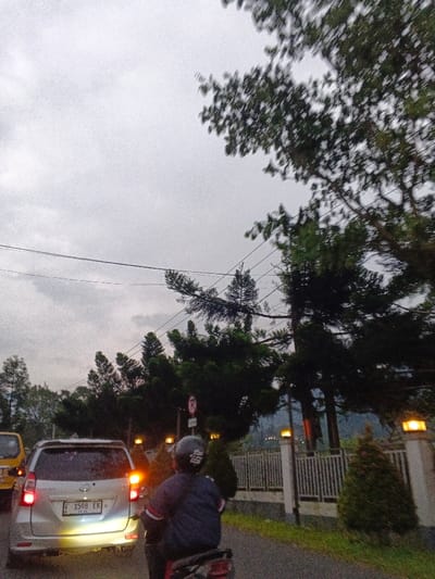 The image depicts a street scene under an overcast sky, likely during dusk or dawn, given the ambient light and illuminated artificial sources. The perspective is from behind a dark-clothed individual on a scooter, facing forward. This individual wears a dark helmet with a white decal on the back and a dark blue jacket with red and white striped sleeves.
Directly in front of the scooter is a silver multi-purpose vehicle (MPV), possibly a Toyota Avanza, with its red taillights and bluish-white lower rear lights illuminated. The vehicle's rear license plate reads "F 1598 EK," which corresponds to an Indonesian vehicle registration, specifically from the East Java region. To the far left, a portion of a yellow vehicle is visible.
The road surface is dark. On the right side of the road, a white fence with square pillars topped with glowing yellow-orange lamps extends into the distance. Small, conical evergreen shrubs are planted alongside the fence. A circular red sign with a diagonal white line, indicating "No Parking" or "No Stopping," is mounted on a pole near the fence. In the background, dark green trees line the road and obscure the view of what appear to be hills or mountains. Overhead, multiple dark utility lines traverse the sky.