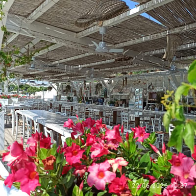 This image depicts an outdoor seating area, likely a restaurant or cafe, with many tables and chairs set up under a shaded, thatched roof supported by white wooden beams. The setting appears to be during the daytime, with sunlight casting shadows through the roof. In the foreground, vibrant pink flowers with green leaves are prominently displayed, partially obscuring the view of the scene beyond. The chairs are primarily white and wooden, with some woven seating.
In the background, glimpses of other tables and chairs are visible, suggesting a spacious seating arrangement. There are also some decorative elements, including what appear to be hanging baskets or lamps, and some greenery. The overall atmosphere seems relaxed and inviting, characteristic of a leisurely dining or gathering space. The context provided indicates the location is Trani, Italy, which might suggest Mediterranean architecture or ambiance. The image also includes a timestamp in the upper right corner: "22.06.2026 10:37", indicating the date and time the photo was taken. There are no discernible people in the image, and the primary focus is on the setting and the floral elements. The weather appears to be sunny and pleasant, suitable for outdoor seating.