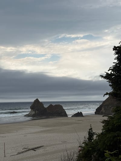 This is an image of the Oregon Coast in Arch Cape, United States. The scene depicts a rocky shoreline with the ocean meeting a sandy beach under a cloudy sky. In the foreground on the right, a large coniferous tree with dark green needles partially obscures the view. The beach is mostly empty, with a piece of driftwood lying horizontally in the sand in the lower left quadrant. Several large rock formations, or sea stacks, are visible in the water and along the coastline, including a prominent, jagged formation in the middle ground. The ocean has moderate waves. The sky is overcast with layers of gray clouds, with some lighter patches of blue and white clouds visible near the horizon. The overall mood is somber and natural.