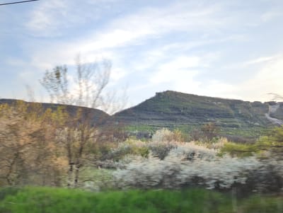The image presents a blurred landscape, suggestive of being captured from a moving vehicle. The scene is set against a backdrop of hills, one of which appears to have a treeless peak. The hillsides are covered with vegetation, displaying variations in green hues. Foreground features consist of blossoming trees and shrubs, predominantly white and pastel colors, indicating springtime. Patches of green grass are also discernible. The sky above is partly cloudy, with varying shades of blue and hints of sunlight. Considering the location is identified as Krivnia, Bulgaria, the landscape is likely a rural or semi-rural area with natural vegetation and topography characteristic of the region. The blurring suggests a temporal element, capturing a moment in motion.