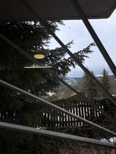 A view from behind a barred window looks out onto a scene of trees and a hillside. The bars are diagonal and gray. On the left of the window is a wall. A small, gold-colored, circular object is visible among the trees, perhaps an ornament or decoration. Through the trees, a hillside with buildings or structures is visible, partially obscured by fog or mist. The scene is likely in Lilkovo, Bulgaria, as requested.