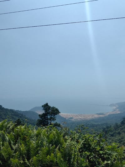 A panoramic view from a elevated position within Hải Vân Ward, Da Nang City, Vietnam, captures a segment of Lăng Cô Bay and its surrounding landscape under a clear, light blue sky. The upper quarter of the frame features three dark, thin horizontal lines, identified as power or utility lines. A subtle vertical lens flare is present in the upper right sky. The foreground, occupying approximately the bottom third, is densely covered with vibrant green foliage, primarily comprised of large fern fronds and other leafy plants. The midground reveals steep, forested mountain slopes, uniformly green, with one prominent dark green coniferous tree situated off-center towards the left. In the background, Lăng Cô Bay spans horizontally, its waters appearing a muted blue. The coastline exhibits a significant area of flat, light-colored terrain marked with distinct grid-like patterns, indicating extensive land clearing and construction development. A long, narrow structure, possibly a pier or breakwater, extends into the bay from the right side of the developed coastal area. Distant mountains or hills are visible beyond the bay, receding into a light atmospheric haze. No individuals or active human interactions are discernible. The scene depicts a natural mountain and bay environment undergoing significant human-led development along its coast.
