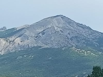 The image depicts a large, rocky mountain peak dominating the upper portion of the frame. The mountain's surface is textured with various shades of gray and appears rugged and uneven, suggesting exposed rock formations. Below the mountain, a dense area of green vegetation, likely trees or shrubs, covers the lower slopes. The vegetation is uniformly dark green and appears to be a natural, wild landscape. The sky above is a pale, hazy blue, indicating daytime but possibly with some atmospheric diffusion. There are no visible people, structures, or specific landmarks that would definitively place this image within the Щебетовский поселковый совет, Ukraine, based solely on the visual information provided. However, the natural terrain of a rocky mountain with dense vegetation is consistent with various geographical features found in Ukraine.