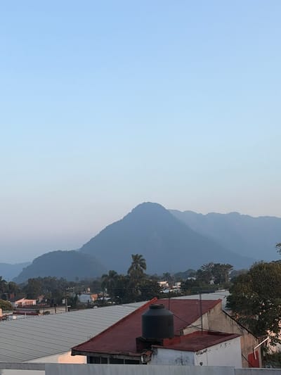 Hazy mountains rise in the background under a pale blue sky. Buildings with red and silver roofs, some with water tanks, are visible in the foreground. Scattered trees punctuate the landscape, nestled between the mountains and the rooftops. The overall scene is serene, possibly at dawn or dusk.