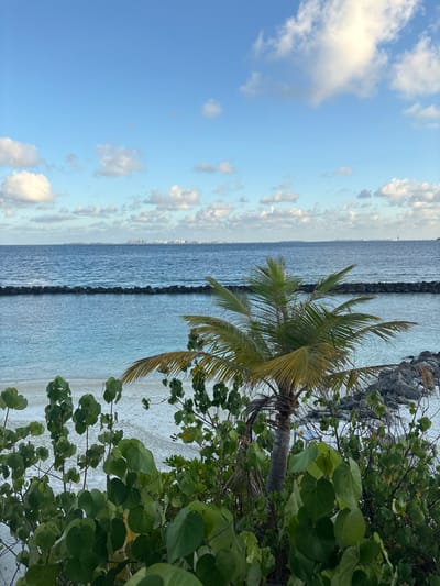 This image depicts a coastal scene in Himmafushi, Maldives, viewed from an elevated perspective. The foreground features dense green tropical foliage with large, round leaves. Centered slightly to the right in the midground, a single palm tree with a slender trunk and green fronds stands amidst the lower vegetation. Beyond the foliage and palm tree, a segment of white sandy beach is visible, transitioning into a calm, light blue-green body of water, likely a lagoon or sheltered area. This calmer water is separated from the deeper ocean by a dark, segmented rock barrier or breakwater extending horizontally across the frame. Further out, the deeper ocean appears a darker blue, stretching to the horizon. Along the distant horizon, a low-lying landmass is visible, featuring a cluster of buildings suggesting a city or town skyline, particularly on the left side of the frame. The sky above is light blue with scattered white cumulus clouds. No individuals, animals, or specific actions are observed within the frame.