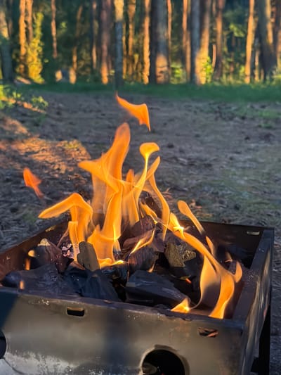 The image depicts a close-up view of a charcoal grill with flames erupting from the burning coals. The grill is positioned outdoors in a wooded area, likely Meremõisa, Estonia, given the presence of tall, slender trees in the background, illuminated by what appears to be late afternoon sunlight. The ground around the grill is covered in dry leaves and pine needles. There are no people visible in the image. The focus is on the dynamic flames, the glowing charcoal, and the rough texture of the grill.