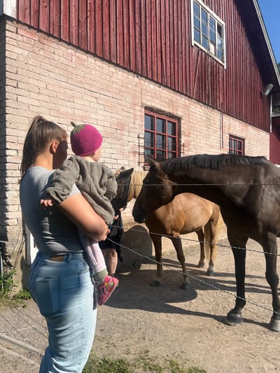 The scene depicts an outdoor stable yard in Sipoo, Finland. In the foreground, a female adult with brown hair in a ponytail, wearing a grey t-shirt and light blue jeans, stands with her back to the viewer, holding a young child. The child wears a magenta knitted hat with a green stem, a long-sleeved greenish-grey shirt, light pink pants, and pink shoes adorned with a butterfly pattern. Both are facing right, observing three horses contained behind a two-strand white wire or rope fence.

The horse closest to the viewer is dark brown with a black mane, facing right, with a black bell boot on its front left hoof. Behind it stands a light brown horse, also facing right. Partially visible further back is a third, lighter-colored horse wearing a dark fly mask.

The background features a large building, likely a barn or stable. Its lower section is constructed of light red brick, while the upper section is clad in vertical red wooden planks. Several windows are present: one large, multi-paned window with a broken pane is visible in the upper wooden section, and two smaller red-framed windows with dark grates are in the lower brick section. The ground is a light-colored dirt or gravel, and sunlight casts distinct shadows from the fence and horses. Green vegetation is visible on the far left and upper right of the frame.