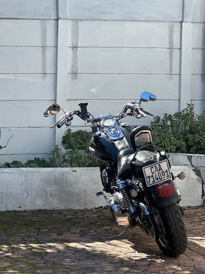 A parked black motorcycle, license plate CAA 714091, is positioned near a white paneled wall with a brick walkway in Blouberg, South Africa. The motorcycle is a cruiser style with chrome accents, visible instruments, and a rear reflector. The immediate surroundings consist of foliage and a concrete curb. The lighting is bright, casting shadows on the walkway. No people are visible.