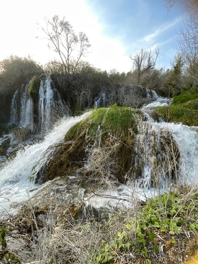 The image displays a multi-tiered natural waterfall system located in Zvirići, Bosnia and Herzegovina. White, turbulent water cascades over irregular rock formations heavily covered in vibrant green moss and algae. The surrounding environment consists primarily of dense, skeletal tree branches and leafless bushes, indicative of late winter or early spring conditions. Dryer, light-colored vegetation and sparse green ground cover are present in the immediate foreground. The scene is illuminated by bright daylight, with a partly cloudy sky visible in the upper portion. No human figures or man-made objects are present.