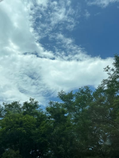 This is a daytime outdoor scene captured from a low angle, looking upwards towards the sky through a dense canopy of trees in Gorno Varshilo, Bulgaria. The upper two-thirds of the image display a bright blue sky with irregularly shaped white and light gray clouds. Areas of darker blue are visible, particularly in the upper right quadrant, indicating clear sky. The clouds exhibit varying densities, ranging from thin, scattered formations to larger, more opaque masses, with some areas showing a textured, rippled appearance. The lower third and extending up the left and right sides of the frame are dense clusters of deciduous trees. The foliage is predominantly deep green, with variations in shade suggesting light and shadow, indicating a thick canopy. Numerous individual leaves and small branches are discernible against the sky and within the tree mass. No human figures, animals, or man-made structures are visible.