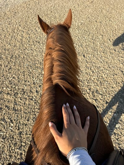 A high-angle, first-person perspective image captures the upper neck and head of a reddish-brown horse, viewed from the rider's position. The horse's mane, full and well-groomed, lies on its right side. Both ears are visible, pointed forward. A human hand, with light-colored, possibly glittery, nail polish, rests flat on the horse's neck near its shoulders. The person wears a light-colored, patterned long-sleeved shirt and multiple beaded bracelets on the wrist. A dark brown leather strap, part of the horse's tack, is visible along the horse's left side. The ground surface beneath the horse's head is granular and light-colored, consistent with sand or gravel found in an outdoor equestrian environment. Strong natural light creates a distinct, elongated shadow on the ground to the right of the horse's neck. The specific location within Rancho Murieta, United States, is not discernible from the visual information provided in the image.