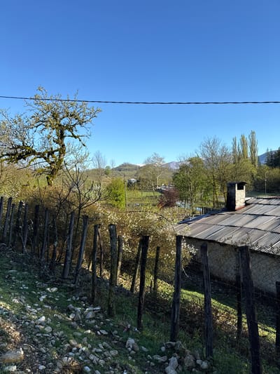 The image depicts a rural scene, likely taken in or near Gachedili, Georgia, based on its geographical features. The foreground shows a weathered wooden fence running along the right side of the frame, with a collection of rocks and greenery on the ground. Beyond the fence, there is a mix of trees and shrubs, some with white blossoms. The roof of a structure, possibly a house, is visible on the upper right, made of corrugated metal with a stone chimney. In the mid-ground, a landscape unfolds with rolling hills, a field, and more trees. A few buildings are visible in the distance, with mountains slightly obscured by haze. The sky is clear and blue, with a power line cutting across the upper left of the frame. A leafless tree with moss-covered branches is in the lower left.