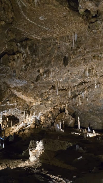 This is a full shot of the interior of the Javoříčko Caves located in Vavřinec, Czechia. The cave ceiling is adorned with numerous stalactites of varying lengths, some appearing thin and needle-like, while others are thicker and more irregular. A few prominent stalactites hang in clusters, notably in the upper right and upper central portions of the image. The cave walls are rough and textured, with layered rock formations. In the lower portion of the image, the cave floor is visible, featuring several stalagmites of different heights and shapes, some clustered together. One particularly large and prominent stalagmite is illuminated in the lower left of the frame. The environment is dimly lit, with artificial lighting highlighting the geological formations. There are no people or animals visible in the scene.