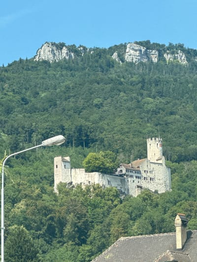The image shows the castle of Neu-Bechburg, located on a wooded hill above Oensingen, Switzerland. The castle is partially ruined and consists of several stone buildings, including a tall tower. A modern street lamp is visible in the foreground, extending into the frame from the left. The castle is surrounded by dense green forest, and a rocky cliff face is visible at the top of the hill behind the castle. The sky is clear and blue. In the lower right corner, a portion of a tiled roof and a chimney are visible, suggesting the presence of other buildings below the castle.