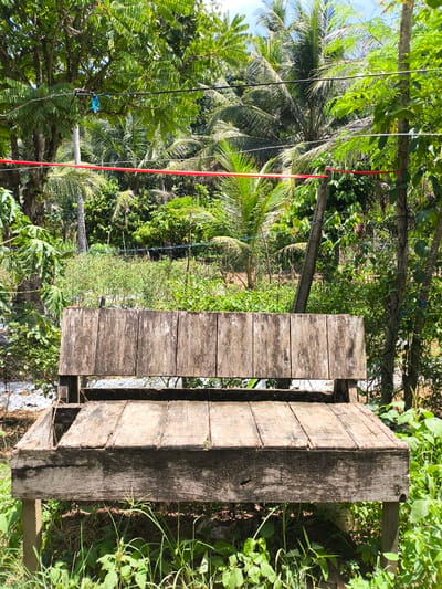 In Julitambotanjung, Indonesia, an aged wooden bench sits in a lush outdoor setting. The bench, constructed from weathered planks, shows signs of decay and wear. Behind the bench, dense green foliage including palm trees forms a natural backdrop under a bright, sunny sky. Red and black wires are strung across the scene, supported by wooden posts and natural vegetation, suggesting some form of overhead infrastructure. The ground around the bench is covered in grass and various plants.