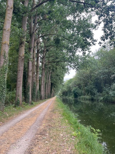 The image depicts a tree-lined canal path in Claye-Souilly, France. A dirt path runs alongside a canal, bordered by a row of tall, mature trees with ivy climbing their trunks. The canal water is dark green, reflecting the surrounding foliage. The path is partially covered in dry, fallen leaves and pine needles. Lush green grass and other vegetation grow along the edge of the canal and the path. In the distance, the path and canal recede into a dense forest. The sky is overcast, creating diffused lighting. There are no people or animals visible in the scene.