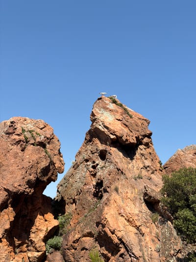 This image depicts a natural scene in Théoule-sur-Mer, France, featuring rugged, reddish-brown rock formations against a clear blue sky. Two seagulls are perched on the peak of the largest rock formation in the center. The rock surfaces are textured with cracks and crevices, and some sparse green vegetation grows on their ledges. The formation on the left has a striking profile that resembles a human face. The lighting suggests it is daytime, with sunlight casting shadows on the rocks. The overall environment appears arid and rocky, typical of coastal geological formations.
