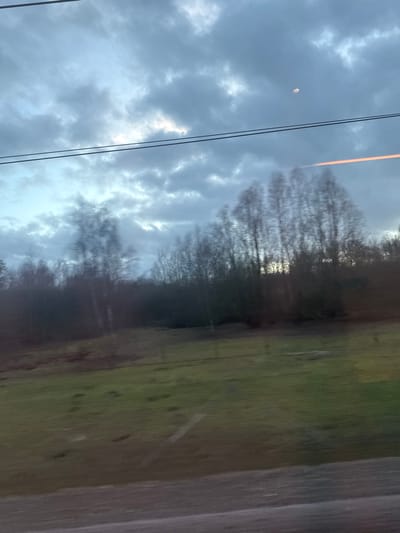 A cloudy, overcast sky features faint moonlight and power lines. A dense line of bare trees is mirrored onto a blurred foreground of green fields. Vertical wooden slats obscure the right portion of the view, suggesting it's seen through a window. The lighting casts an ethereal glow on the horizon where trees and sky meet.