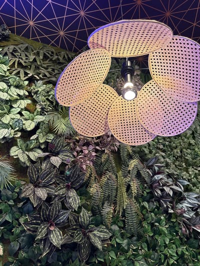 A close-up shot shows a decorative woven rattan light fixture with a bright LED bulb hanging from a dark ceiling with a geometric pattern. The light fixture is positioned above a lush vertical garden filled with various green plants, including ferns and broad-leafed plants with dark, patterned leaves. The lighting casts a warm glow on the fixture and illuminates the foliage. The scene is set in the city of Carretera De San Martín, Spain.