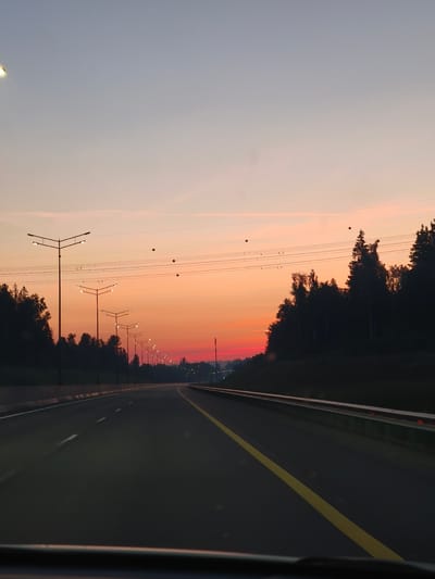 The image captures a highway at dusk, with the sky displaying a vibrant gradient of pink and orange hues from the setting sun. A line of streetlights, illuminated, stretches along the left side of the road, their V-shaped fixtures silhouetted against the colorful sky. On the right, a dense forest borders the highway, with the tops of the trees also silhouetted. The road itself is dark asphalt, with a bright yellow line marking the center and white lines indicating lanes. There are no people or vehicles visible in the immediate scene. The presence of streetlights and a multi-lane highway suggests this is a well-traveled route. The environment is natural, dominated by the expansive sky and the forest. The image appears to be taken from a moving vehicle, as indicated by the slight blur and the perspective of the road ahead. The location is described as Nefedikhha, Russia, suggesting a rural or suburban setting with significant infrastructure.
