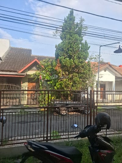 The image displays a residential street scene in Rahayu, Indonesia. In the foreground, a dark-colored scooter is partially visible on the left, while a black Honda Vario scooter with red accents is parked on the right, featuring a black helmet on its seat. A dark brown, vertical-bar metal fence extends across the mid-ground. Beyond the fence, a paved street is visible, on which a dark-colored utility vehicle, likely a pickup truck, is parked. The background features several single-story residential houses with varying rooflines and colors, including dark brown and terracotta tiles. A tall, slender coniferous tree with dark green foliage stands prominently in the center, partially obscuring one of the houses. Additional green trees and bushes are scattered throughout. Multiple parallel dark utility lines stretch across the upper portion of the frame against a light blue sky with sparse white clouds. A street lamp post is visible on the far right. No people are present.