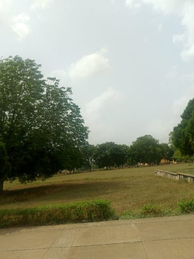 The image displays an expansive outdoor area in the city of Adzho, Nigeria, under a cloudy sky. In the immediate foreground, a light grey concrete path with visible section lines extends horizontally across the frame. Directly beyond the path, a low, somewhat irregular hedge of green foliage spans the width of the scene. The central and midground consists of a large, gently sloping grassy field, characterized by varied shades of green and dry brown vegetation, indicating a lack of uniform maintenance. A prominent, large tree with dense, dark green leaves is positioned on the left side of the midground, its trunk partially obscured by shadow. On the right, a low, light-colored concrete retaining wall or barrier runs partially along the edge of the grassy area. In the background, a line of numerous green trees creates a natural boundary, and a light-colored building with a dark roof is faintly visible through these trees, slightly right of center. The sky above is overcast with scattered light grey and white clouds. No people, animals, or discernible activities are present.