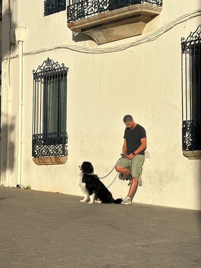 The image portrays a male individual and a dog on a paved street in Calella De Palafrugell, Spain, positioned against a light-colored stucco building wall. The wall features a central wrought-iron balcony with a stone base, two wrought-iron window grilles (one partially visible on the far right, one fully visible on the left), a vertical white downspout on the left, and horizontal white electrical conduits. The ground consists of dark, textured pavement, potentially cobblestone, showing a slight upward slope from left to right. Strong sunlight from the right casts distinct shadows.
The male subject, appearing middle-aged with short, dark-gray hair, wears a black V-neck t-shirt, olive green cargo shorts, and light-colored sneakers. He leans his back against the wall, with his right leg crossed over his left. His head is tilted downwards, and he is engaged with a smartphone held in both hands. A red-banded watch is visible on his left wrist, and a small black object resembling a pouch is attached to his right hip area.
To the man's left, a black and white dog, consistent with a Border Collie type, is seated on the pavement. The dog wears a black collar and is oriented to its left, facing away from the man. A black leash extends from the dog's collar towards the man. The dog is positioned patiently while the man is absorbed in his device.