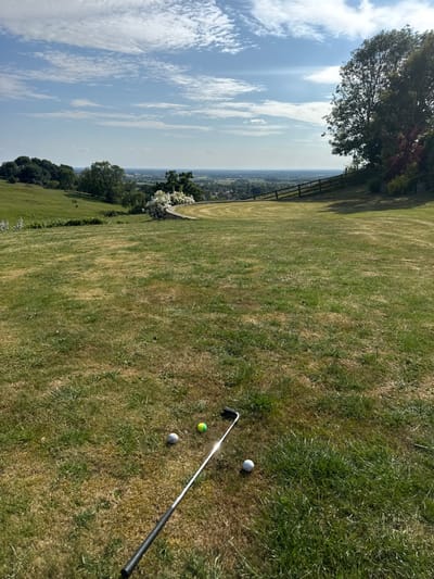 A golf club lies near a cluster of three golf balls, one yellow and two white, on a grassy field. The field slopes upward to the left, offering a distant view of buildings under a cloudy sky. A tree is visible at the upper left, while white flowers and bushes line the edge of the hill in the middle left. A wooden fence stands along the brow of the hill. The grass is patchy, with areas of both green and brown.