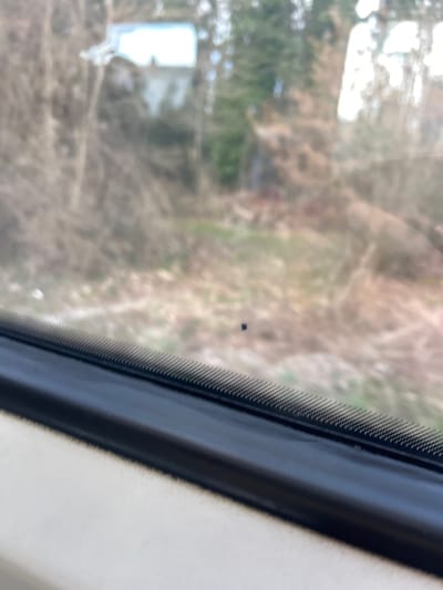 The image displays an exterior scene viewed through a window, located in Krailling, Germany. The foreground shows a light-colored interior surface, above which a dark, horizontally ribbed trim element separates the interior from the window glass. A small, dark, irregularly shaped speck is present on the window glass, positioned slightly left of the image's vertical center. The background, largely out of focus, reveals a natural landscape dominated by bare or sparsely leaved deciduous trees and dense undergrowth, consistent with late autumn or winter vegetation. Patches of pale green ground cover are visible amidst the brown and gray tones. In the upper left quadrant of the background, a blurred, light-colored rectangular structure, possibly a distant building, is discernible. The scene is illuminated by natural daylight. No individuals or active subjects are present.