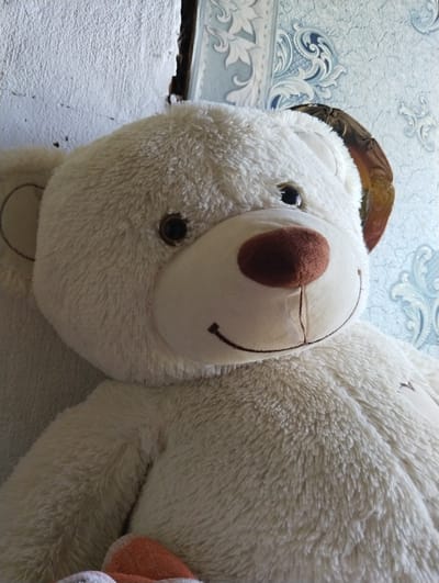 A close-up, slightly angled shot shows a large, cream-colored teddy bear. The bear is positioned in the foreground, with its head and upper body filling most of the frame. It has a brown nose, black eyes, and a stitched smile. The bear's fur is fluffy and appears soft. Behind the bear, the background is a textured blue wallpaper with a decorative pattern. To the left of the bear, a rough, white, textured wall is visible, with a dark crack or opening running vertically. The lighting is bright, casting some shadows and highlighting the texture of the bear's fur and the wallpaper. The scene is indoors. The location is in the city of Заполье, Russia.