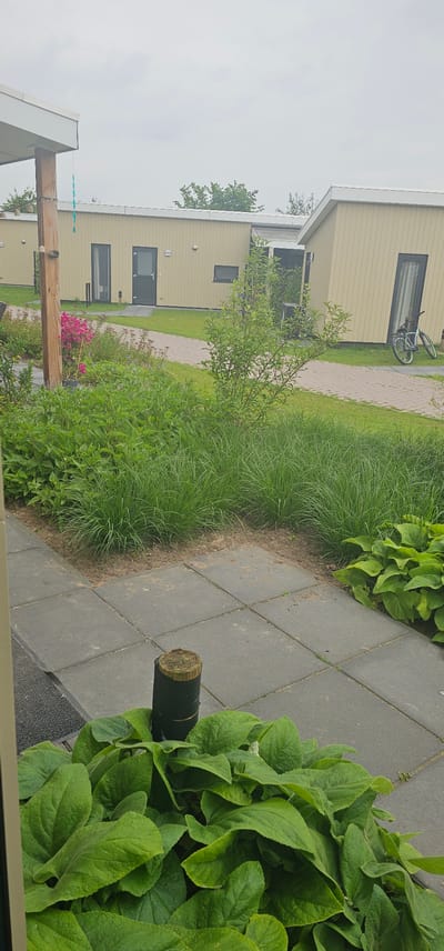 The image depicts an outdoor scene in the city of Groenlo, Netherlands. In the foreground, a paving stone pathway is visible, bordered by lush green plants. A short, dark-colored wooden post with a rough, cut top stands on the pathway. Beyond the pathway, a manicured lawn surrounds the base of two modern, light-colored buildings. The buildings have dark-framed windows and doors, and a single bicycle with a light blue frame is parked near the rightmost building. A thin, light-colored string with small, decorative elements hangs from the overhang of the left building. The sky is overcast, suggesting a cloudy day.