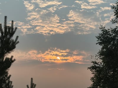 The image captures a serene sunset scene, likely in Leninsk-Kuznetskiy, Russia, given the context. The sky is a canvas of soft grays and oranges, with scattered clouds tinged by the setting sun's warm glow. The sun itself is partially obscured by clouds, creating a diffused and gentle light.

Framing the sky are silhouettes of trees on either side of the image. On the left, the sharp, dark needles of a pine tree reach upwards, while on the right, the broad leaves of a deciduous tree add a contrasting texture. The overall mood is peaceful and tranquil, evoking a sense of the end of a day and the beauty of nature. The time of day is clearly sunset due to the lighting conditions and the colors in the sky. No text is visible in the image.