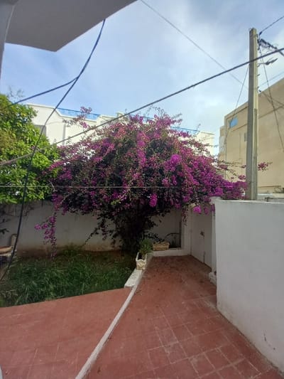 The image shows a view from a courtyard in Mrezga, Tunisia, at coordinates 36.433 latitude and 10.674 longitude. The courtyard is dominated by a large bougainvillea bush in full bloom, with purple flowers cascading down its branches. The bush is located between two white-walled buildings, with a red tile patio leading towards a door in the right wall. The patio is partially covered in grass, indicating a lack of regular maintenance. The courtyard is bordered by a low white wall on the left, and a section of a second white wall on the right. The top of the image is obscured by a white ceiling, possibly part of a house. The background features a blue sky with a few wispy clouds and power lines running across the sky, suggesting a residential area.